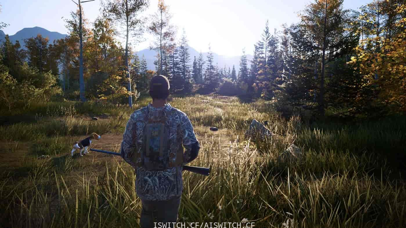 模拟狩猎2/Hunting Simulator 2（v1.0.0.311.66949整合护林员生活DLC）